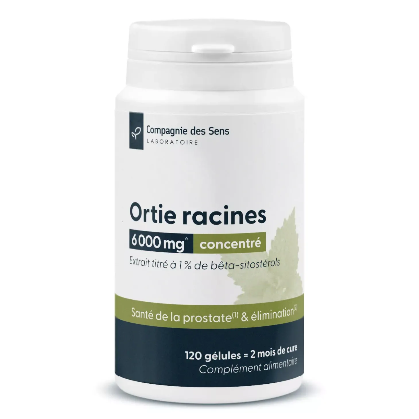 Ortie racines concentrées