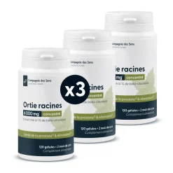 Ortie racines concentrées