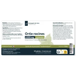 Ortie racines concentrées