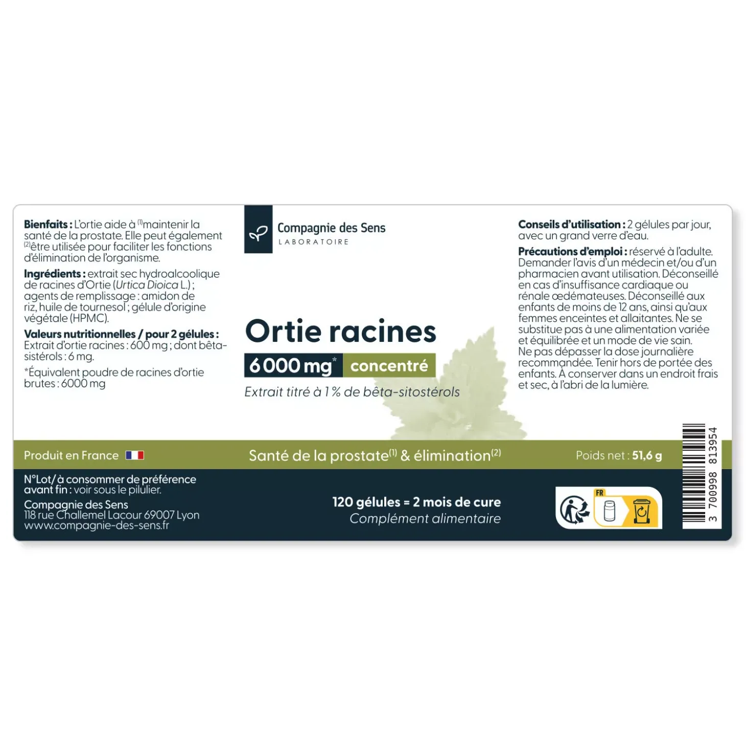Ortie racines concentrées