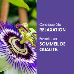 Passiflore bio (Passiflora Incarnata) – Extrait hydroalcoolique concentré