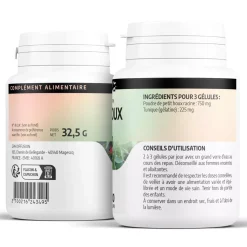 Petit Houx (Fragon) – Ruscus aculeatus – 100 gélules de 250 mg