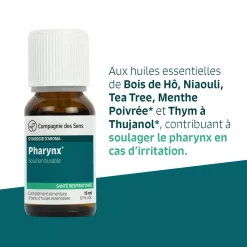 Pharynx