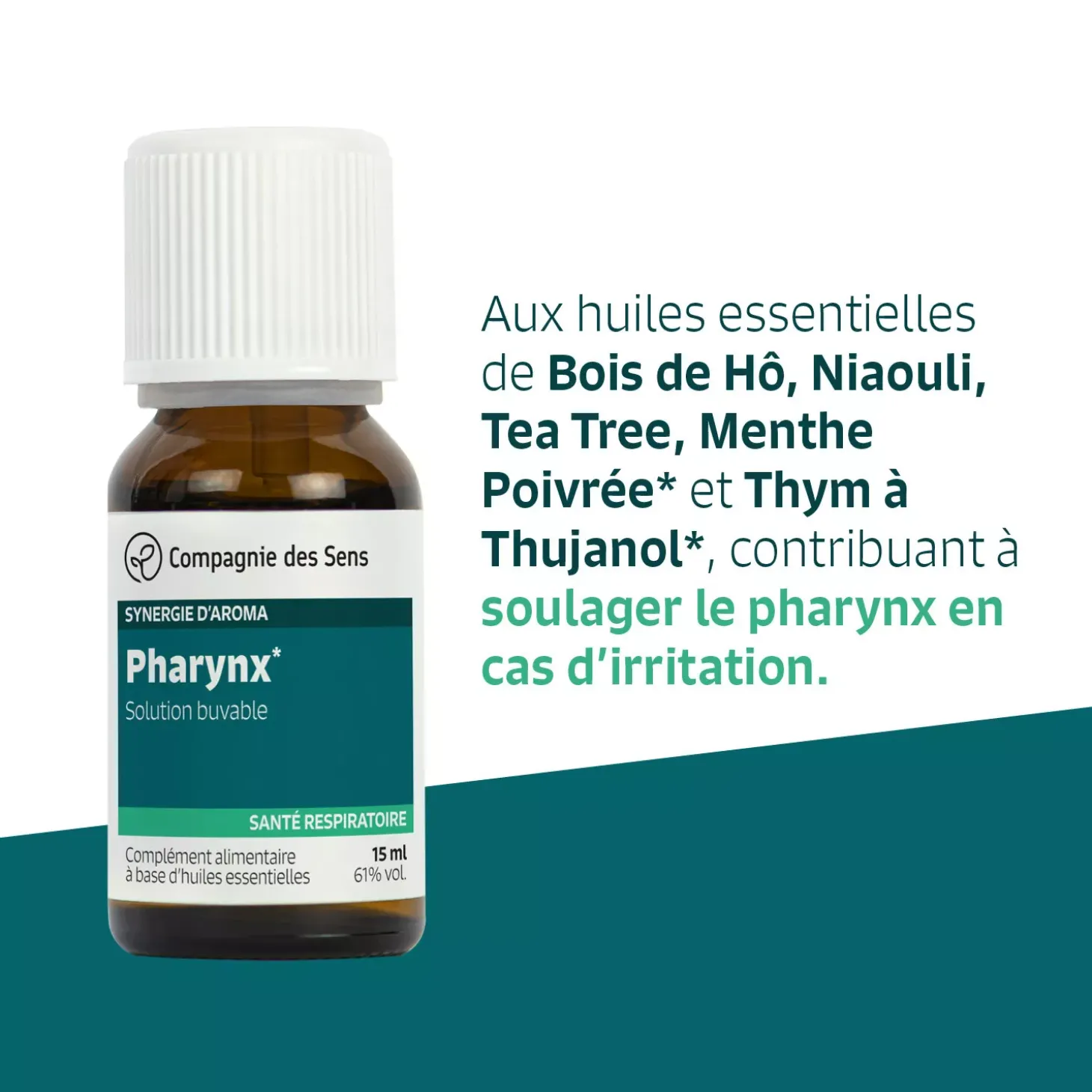 Pharynx