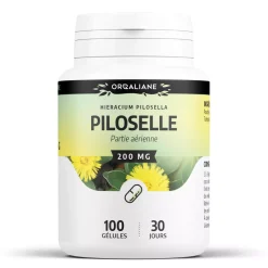 Piloselle – Hieracium pilosella – 100 gélules de 200 mg