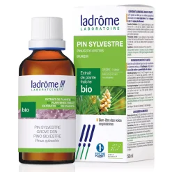 Pin Sylvestre bio – Pinus Sylvestris – Extrait hydroalcoolique concentré
