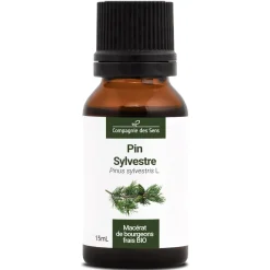 Pin Sylvestre bio (Pinus Sylvestris) – Macérat concentré de bourgeons frais