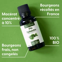 Pin Sylvestre bio (Pinus Sylvestris) – Macérat concentré de bourgeons frais