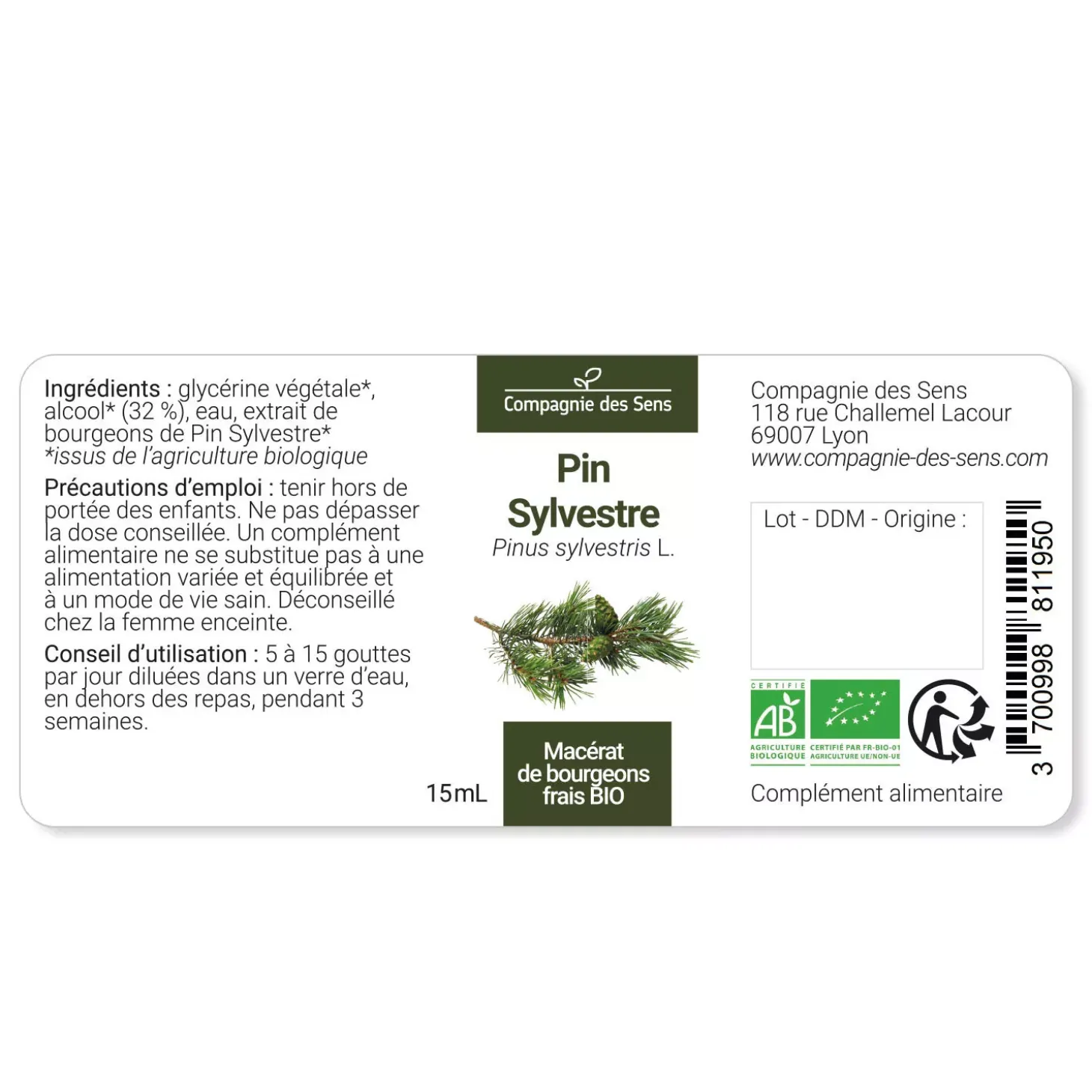 Pin Sylvestre bio (Pinus Sylvestris) – Macérat concentré de bourgeons frais