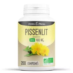 Pissenlit bio