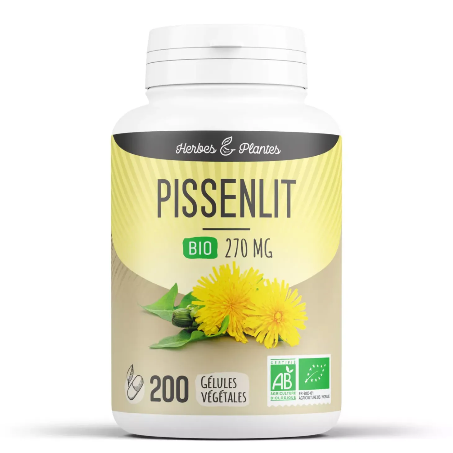 Pissenlit bio