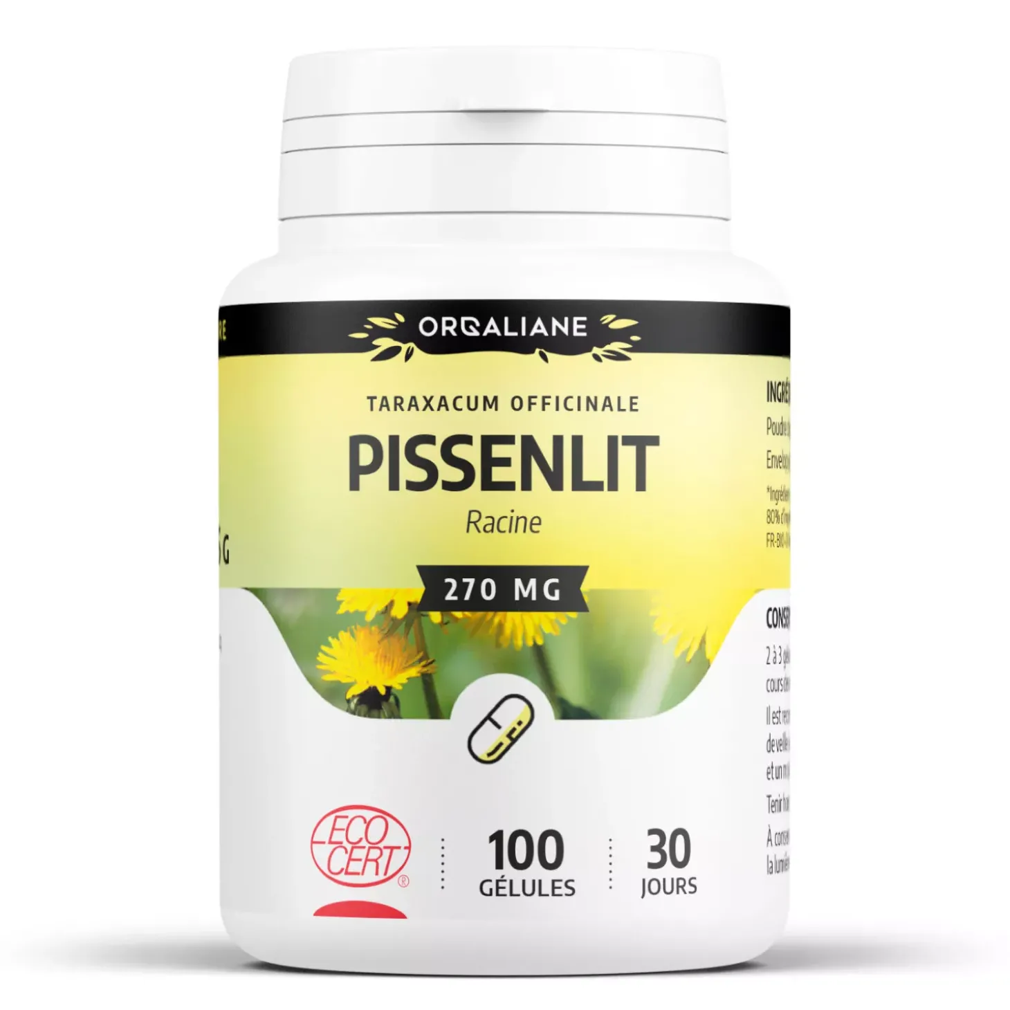 Pissenlit bio