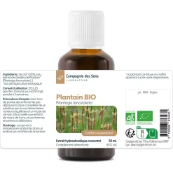 Plantain Lancéolé bio (Plantago Lanceolata) – Extrait hydroalcoolique concentré