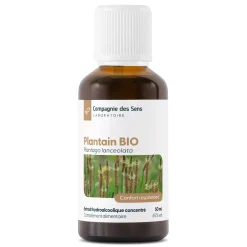 Plantain Lancéolé bio (Plantago Lanceolata) – Extrait hydroalcoolique concentré