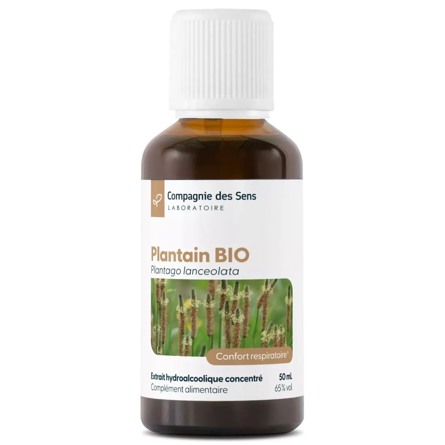 Plantain Lancéolé bio (Plantago Lanceolata) – Extrait hydroalcoolique concentré