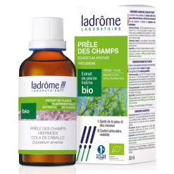 Prêle des Champs bio – Equisetum Arvense – Extrait hydroalcoolique concentré