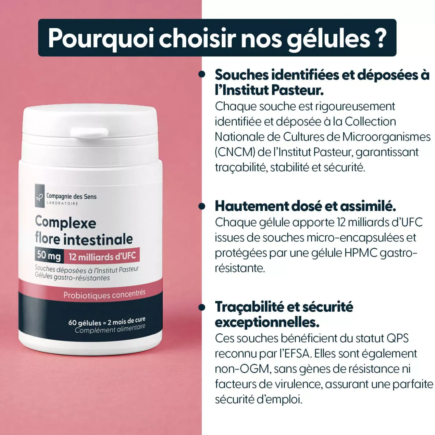 Probiotiques Flore intestinale