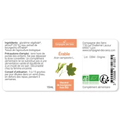 Érable bio (Acer Campestre) – Macérat concentré de bourgeons frais