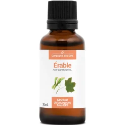 Érable bio (Acer Campestre) – Macérat concentré de bourgeons frais