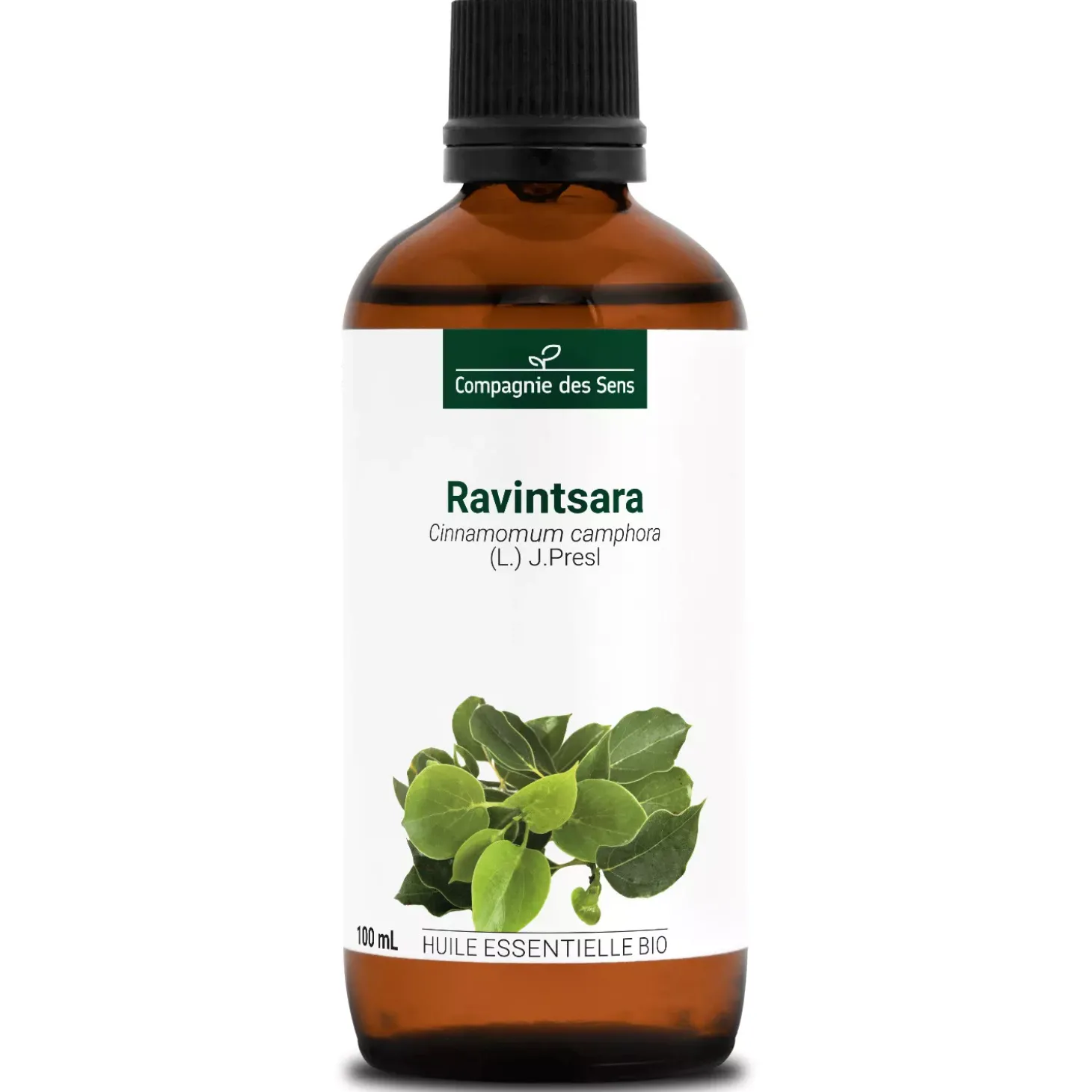 Ravintsara
