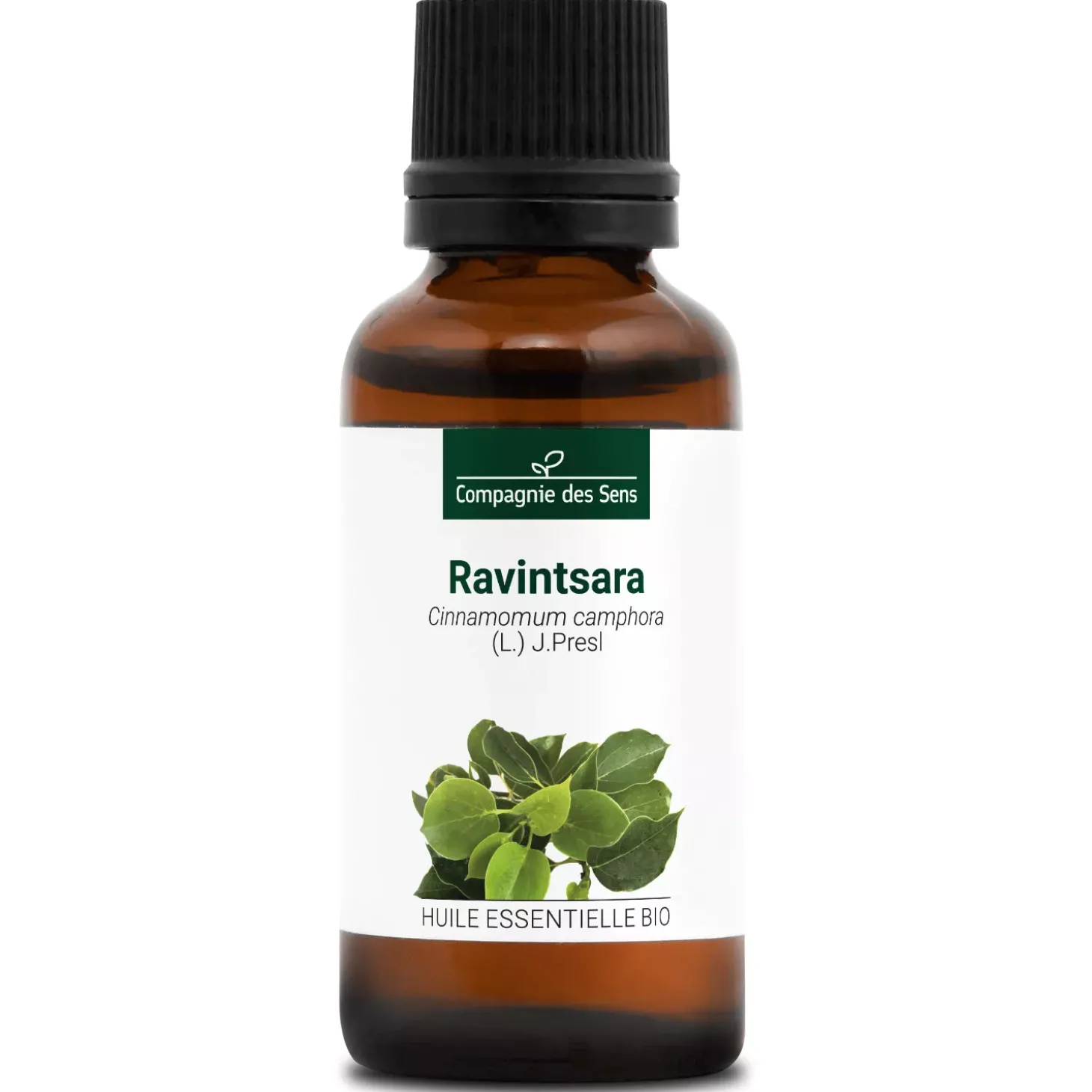 Ravintsara