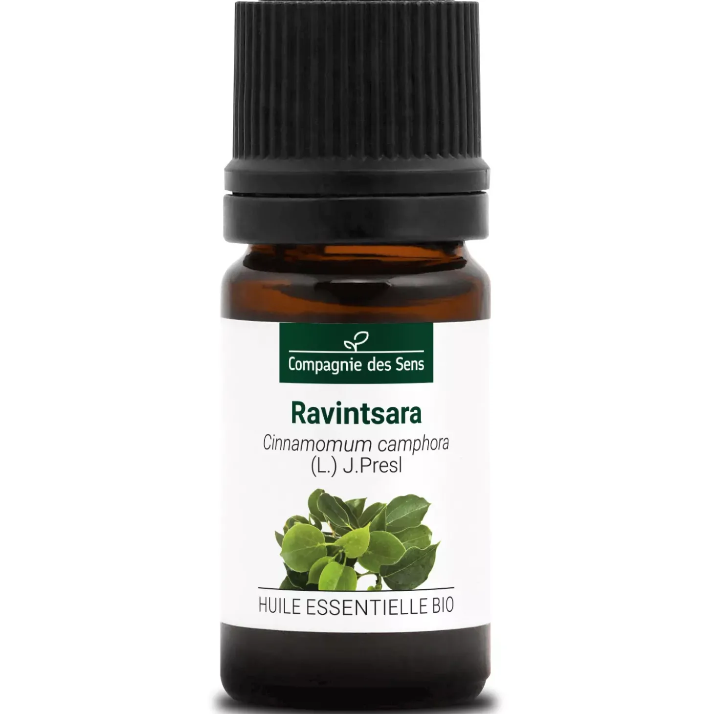 Ravintsara
