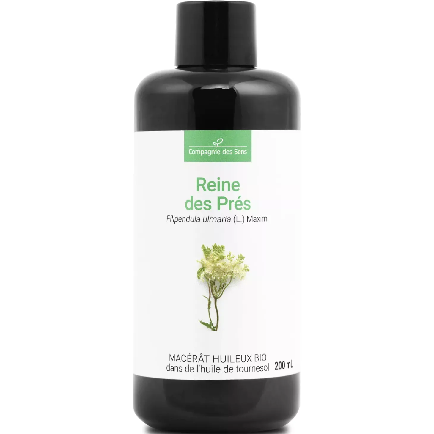 Reine des Prés