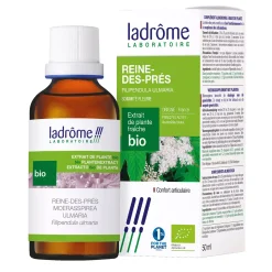 Reine-des-prés bio – Filipendula Ulmaria – Extrait hydroalcoolique concentré