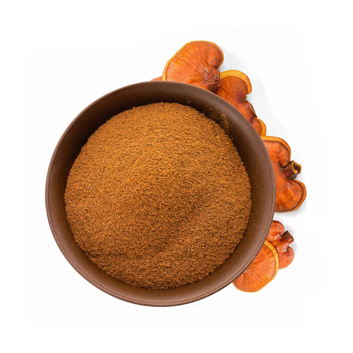 Reishi bio