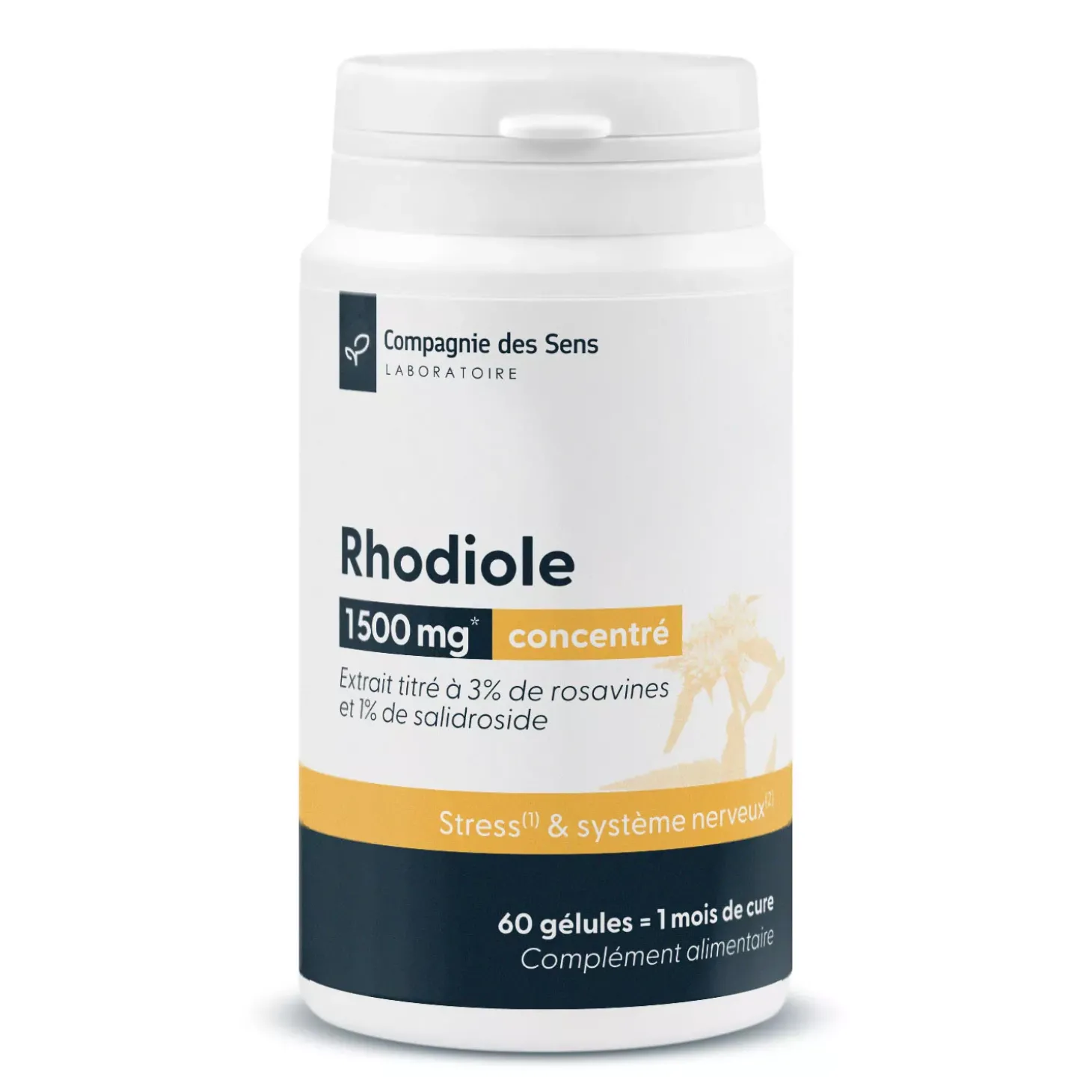 Rhodiole concentrée