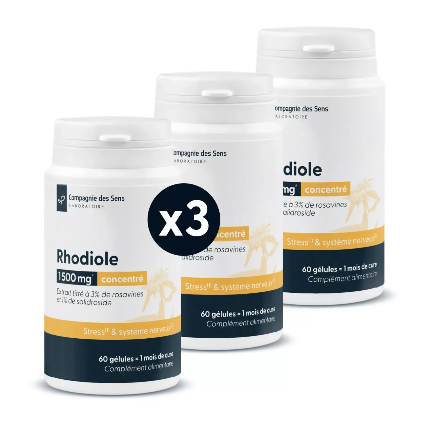 Rhodiole concentrée