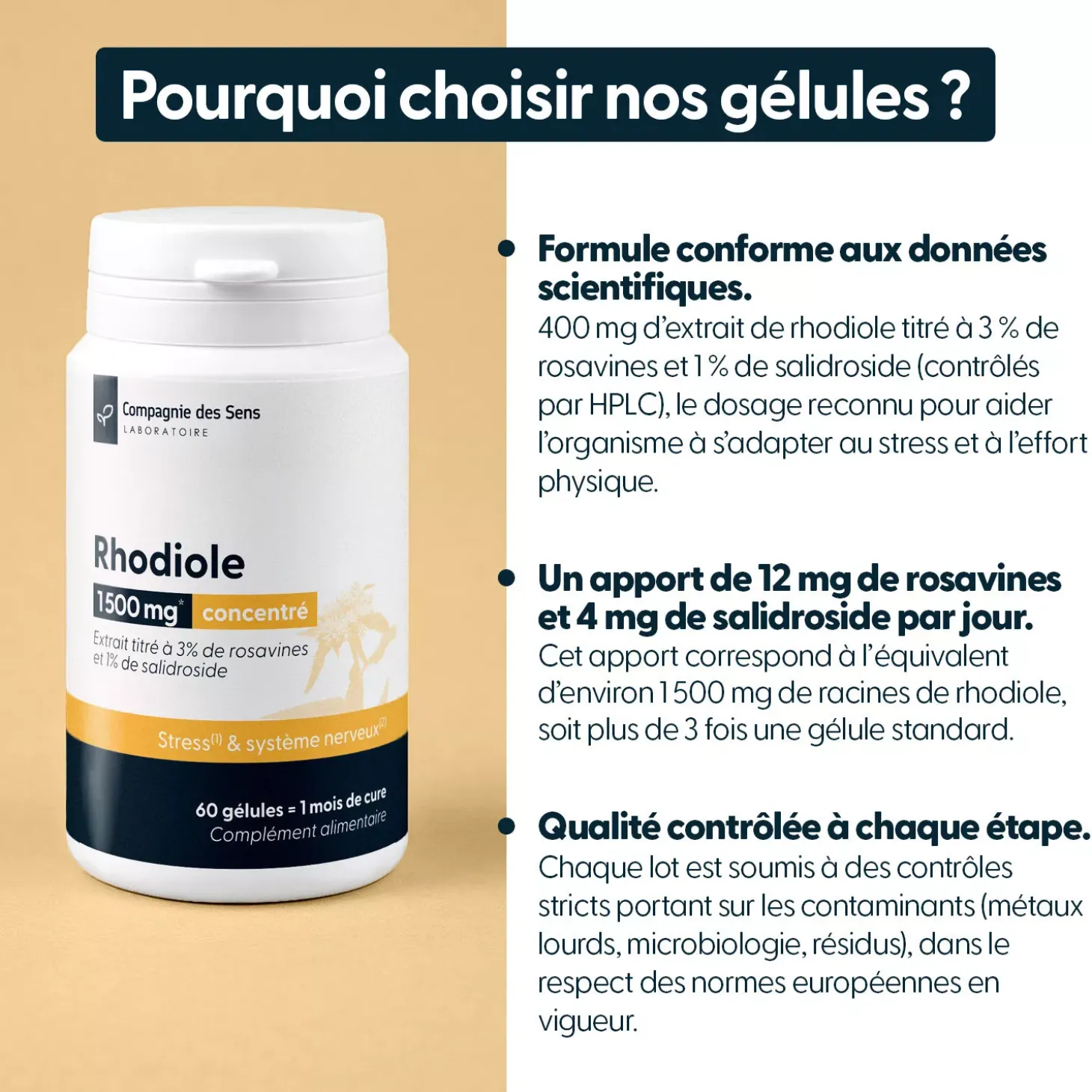 Rhodiole concentrée