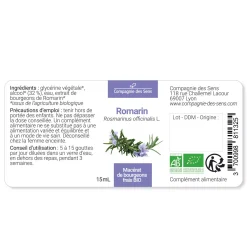Romarin bio (Rosmarinus Officinalis) – Macérat concentré de bourgeons frais