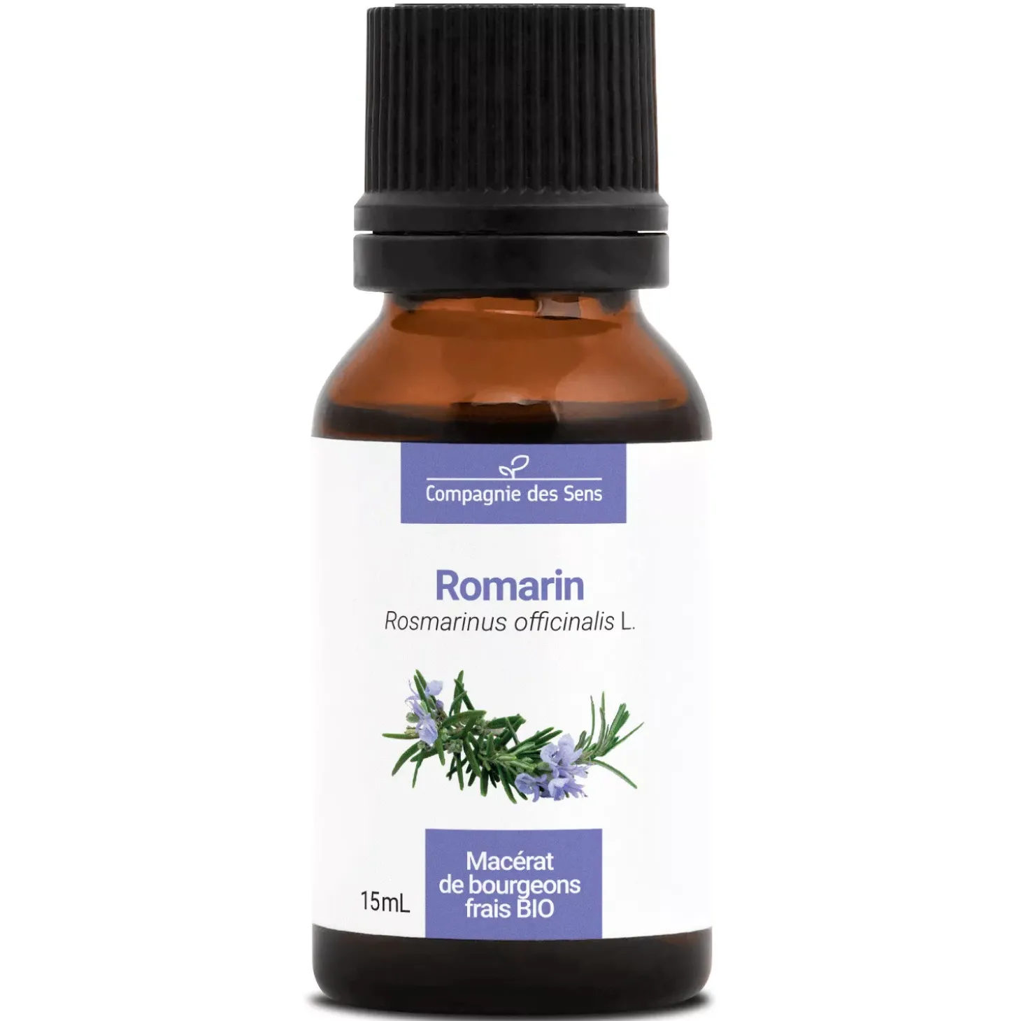 Romarin bio (Rosmarinus Officinalis) – Macérat concentré de bourgeons frais