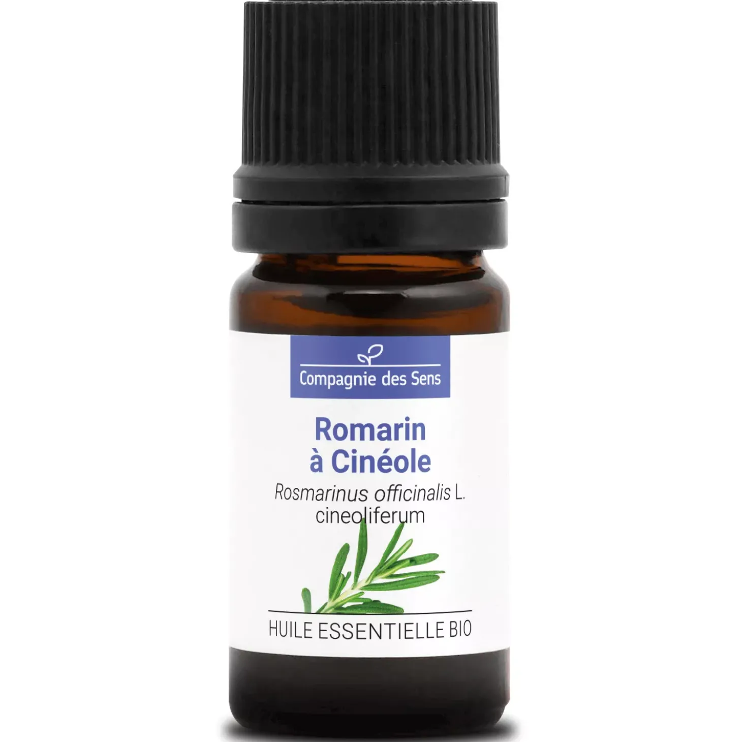 Romarin À cinéole