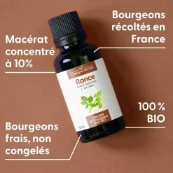 Ronce bio (Rubus Fruticosus) – Macérat concentré de bourgeons frais