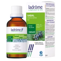 Sabal (Palmier de Floride) – Serenoa Repens – Extrait hydroalcoolique concentré