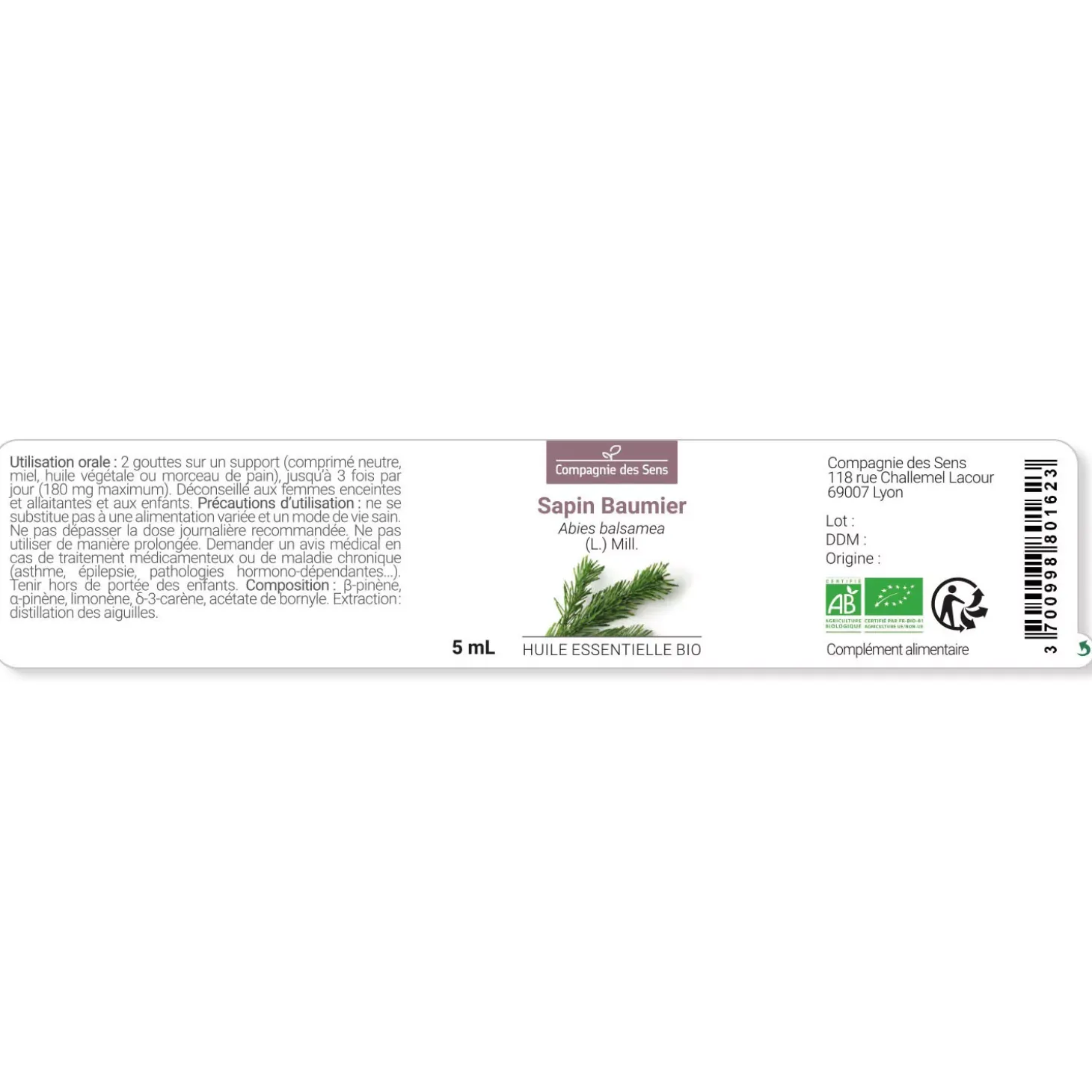 Sapin baumier (Abies balsamea)