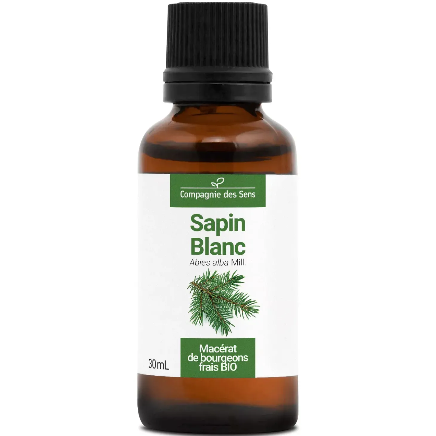 Sapin Blanc bio (Abies Alba) – Macérat concentré de bourgeons frais