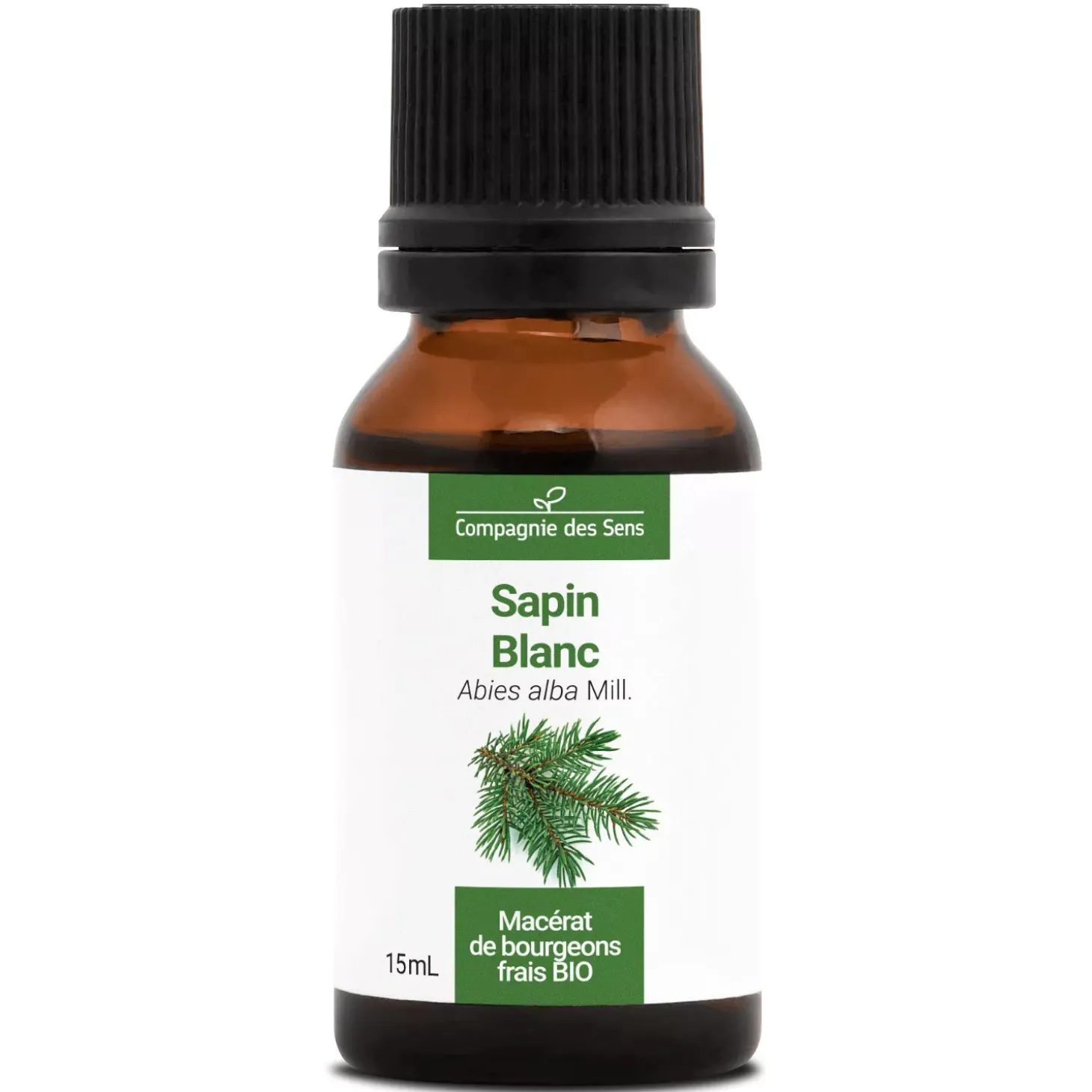 Sapin Blanc bio (Abies Alba) – Macérat concentré de bourgeons frais