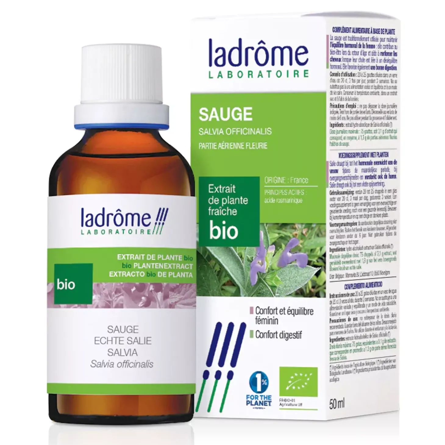 Sauge bio – Salvia Officinalis – Extrait hydroalcoolique concentré