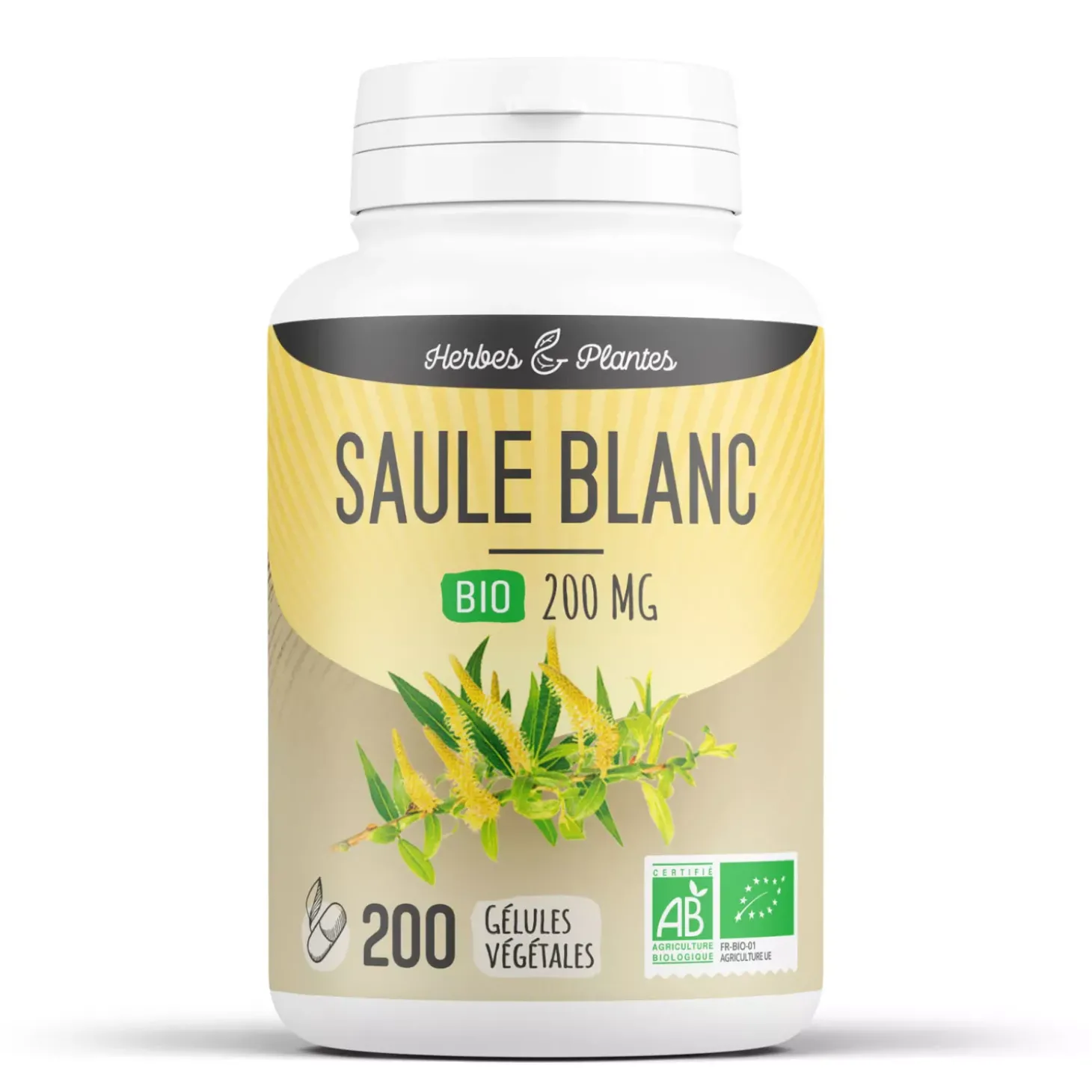 Saule Blanc bio