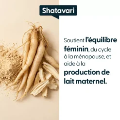 Shatavari concentré