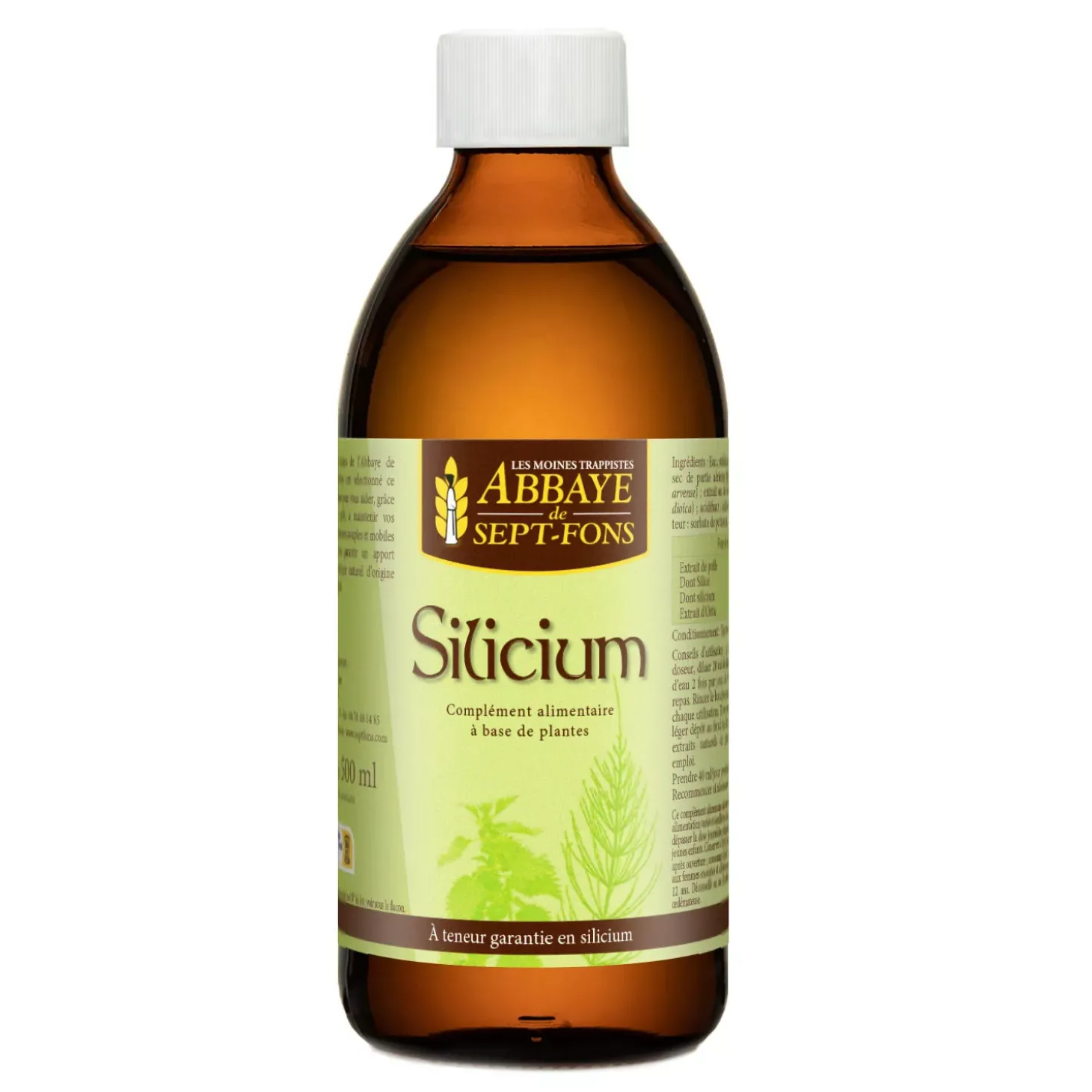 Silicium d'Origine Naturelle