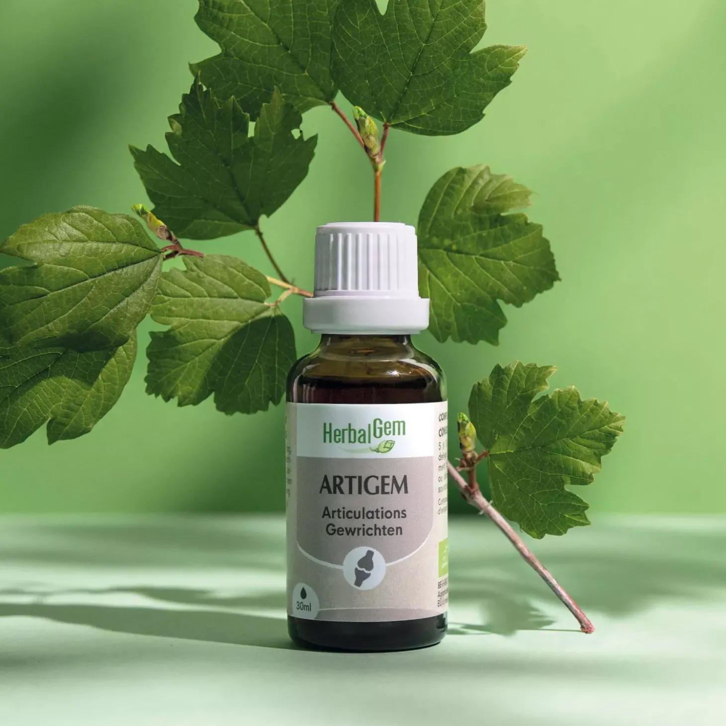 Solution buvable Articulations – Aux Macérats de bourgeons concentrés