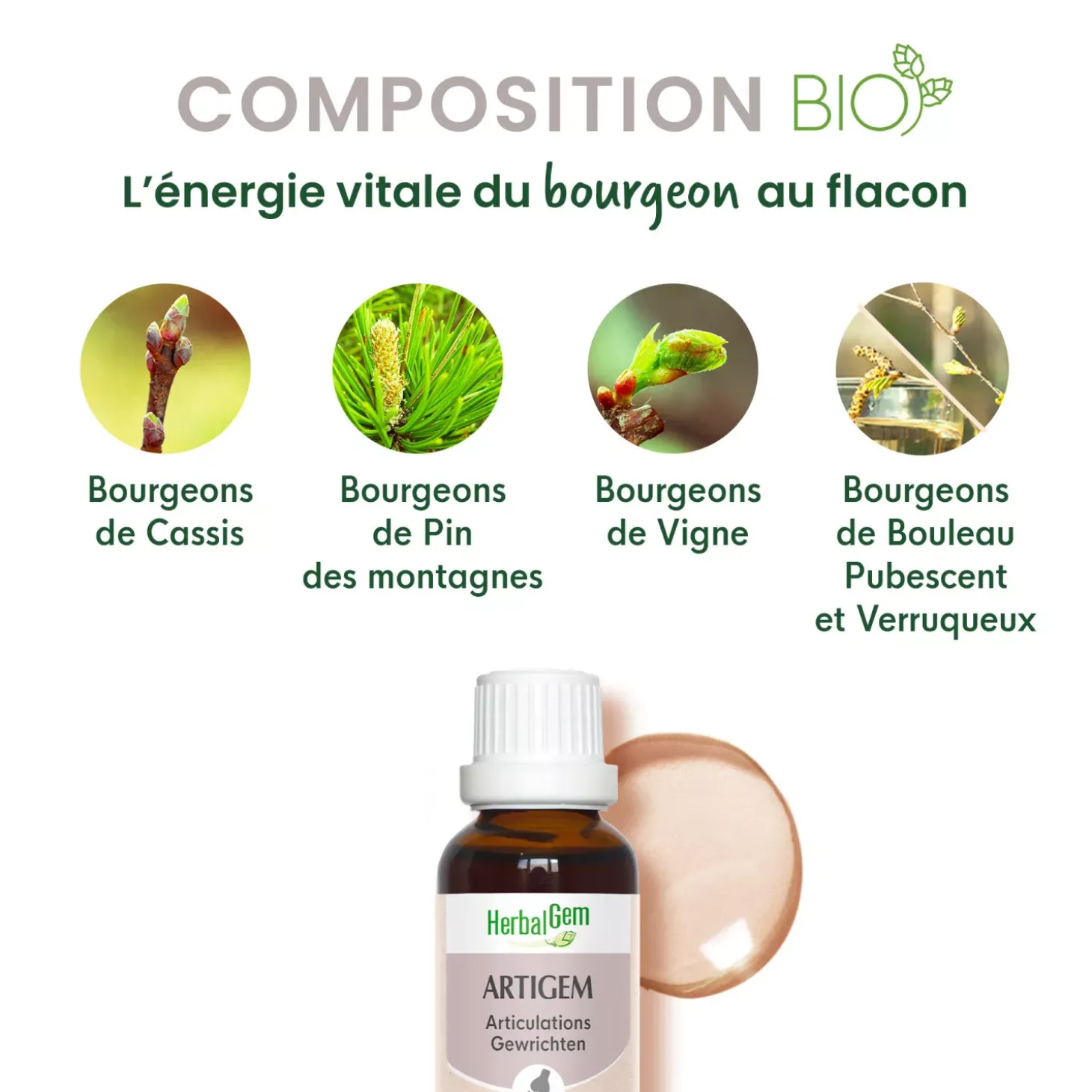 Solution buvable Articulations – Aux Macérats de bourgeons concentrés