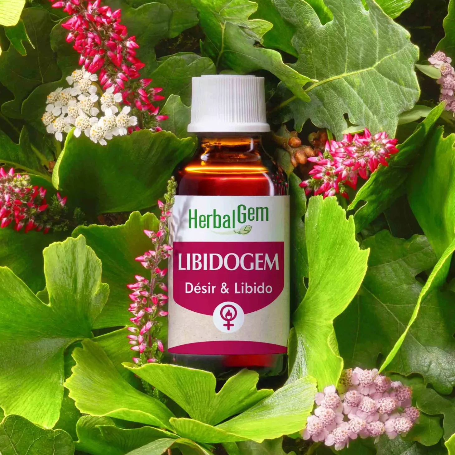Solution buvable Désir et libido – Aux Macérats de bourgeons concentrés