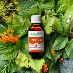 Solution buvable Epuisement physique – Aux Macérats de bourgeons concentrés