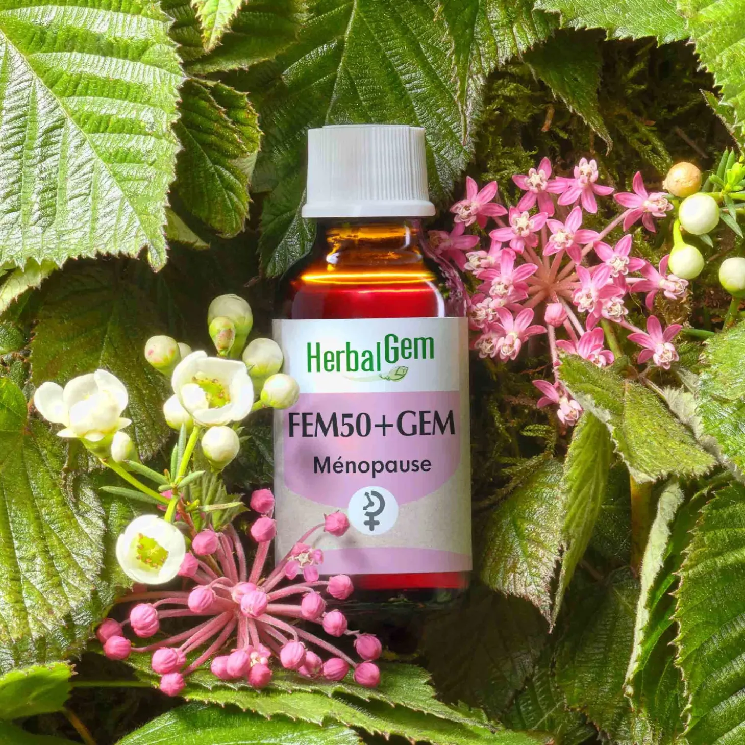 Solution buvable pour Cycle Menstruel – Aux Macérats de bourgeons concentrés