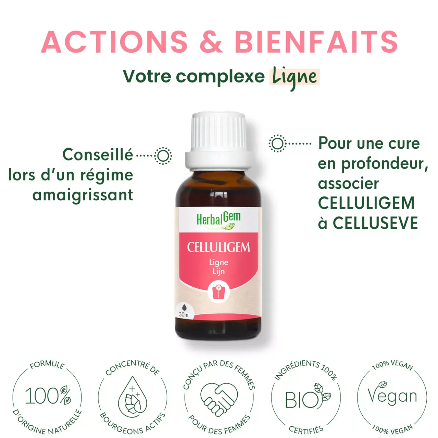 Solution buvable pour la Ligne – Aux Macérats de bourgeons concentrés